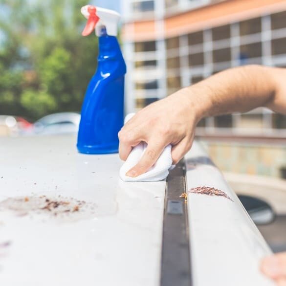 Vogelkot entfernen vom Auto: Mann wischt Vogelkot von weißem Autodach